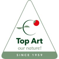 Top Art International logo - Similar company to Akaaz Antilles