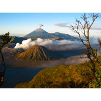 Rona Persada Tour Travel Malang logo - Similar company to Kafa'A Project