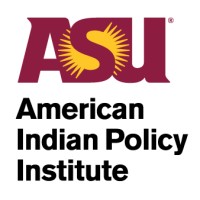 American Indian Policy Institute logo - Similar company to Lepwe
