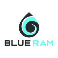 Blue Ram Group, LLC logo - Similar company to Site Safe Solutions