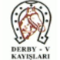DERBY V KAYIŞI (DERBY V BELT MANUFACTURİNG) logo - Similar company to Kale Conveyor