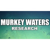 Murky Waters Research logo - Similar company to Perform-Link