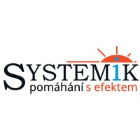 SYSTEMIK logo - Similar company to Systemik Esg