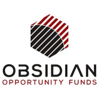 Obsidian Opportunity Fund logo - Similar company to Turfmates