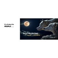 Wolf Recruiting logo - Similar company to Wolf Recruiting