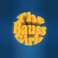 The Bauss Girls logo - Similar company to NextBit Solutions