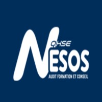NESOS QHSE logo - Similar company to Hera Solutions