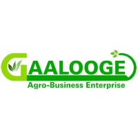 Gaalooge logo - Similar company to Dawantv