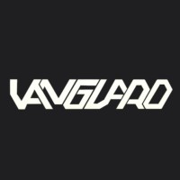 Vanguard Consulting logo - Similar company to Jesús Madurga