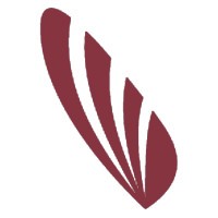 Scouting Capital Advisors logo - Similar company to Scouting Sim Family Advisors