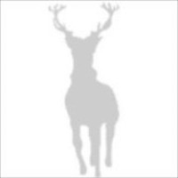 Silverlight Expert Network LLC logo - Similar company to Thee-Network