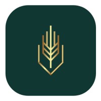 Impact Influence Today logo - Similar company to Edifyu