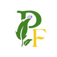Psychology Find logo - Similar company to Arts-Interior-Aesthetics (Aia)