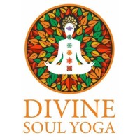 Divine Soul Yoga logo - Similar company to Solis Nature
