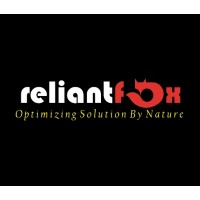 Reliant Fox Solutions logo - Similar company to One Vote Strategy
