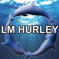 LM Hurley & Associates - Executive Search for Senior Living logo - Similar company to Z Search Group