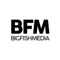 Big Fish Media logo - Similar company to The Weblab