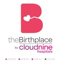The Birthplace logo - Similar company to River Delta