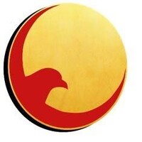 Younis Visa Advisor Services logo - Similar company to Satsol