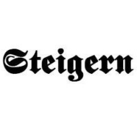 Steigern BlockChain Lab logo - Similar company to Unchain Bitcoin & Blockchain Convention