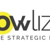 Yellow Lizard Digital Agency (Pty) Ltd. logo - Similar company to Hoola