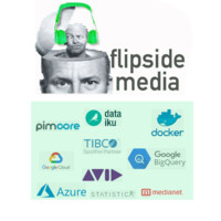 Flipside Digital Media & Data Analytics logo - Similar company to Fedprofits