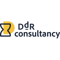 DdR Consultancy logo - Similar company to Bluebird Tech Solutions, Llc.