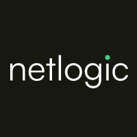 Netlogic logo - Similar company to Netlogic Computer Consulting