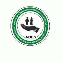 ONG ADES NIGER logo - Similar company to Ong Demi-E