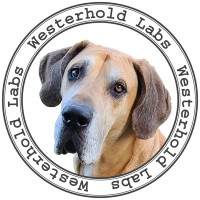 Westerhold Labs logo - Similar company to Cargt