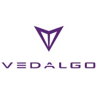 Vedalgo logo - Similar company to Lodestar