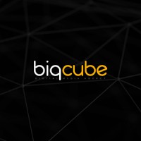 Bigcube Digital Media Agency logo - Similar company to #313Media - A Precision Media Solution Agency