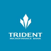 Trident Microfinance Bank Ltd logo - Similar company to Kabo Solutions Limited