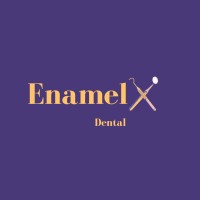 EnamelX logo - Similar company to 3Mindia