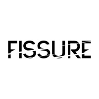 Fissure logo - Similar company to Fissure.Pro