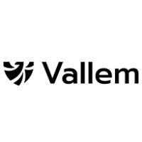 Vallem logo - Similar company to Otsecure Bv