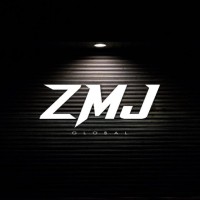 ZMJ Global logo - Similar company to Impulxor