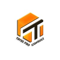 TRYBE PRO CONSULT logo - Similar company to Trybe Consulting