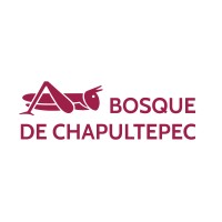 Bosque de Chapultepec logo - Similar company to Nsip Llc