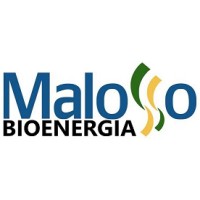 Malosso Bioenergia S/A logo - Similar company to Agropéu S/A - Açúcar, Etanol E Energia