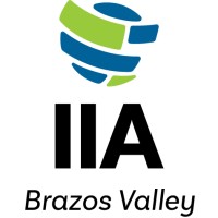 IIA Brazos Valley Chapter logo - Similar company to Government Transformation Management Institute