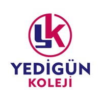 Yedigün Koleji logo - Similar company to Bornova Kolej
