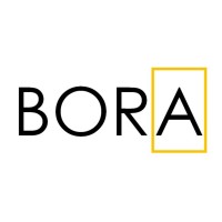 BORA International logo - Similar company to Wsct( World Standardization Certification & Testing)