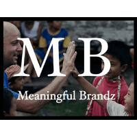 Meaningful Brandz