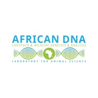 African DNA
