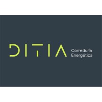 DITIA logo - Similar company to Buildpat