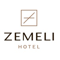ZEMELI • ზემელი logo - Similar company to Dnt Group • Dnt ჯგუფი