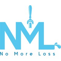 No More Loss Sénégal SAS logo - Similar company to 2Mbf Btp