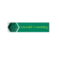 Emerald Consulting Private Ltd logo - Similar company to Kube Technologies