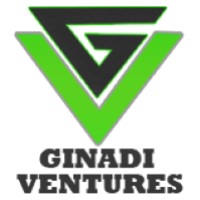 GINADI  VENTURES logo - Similar company to Rephas Plc